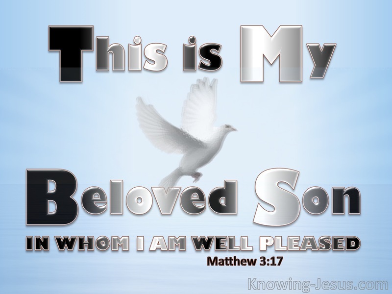 Matthew 3:17 This Is My Beloved Son (white)